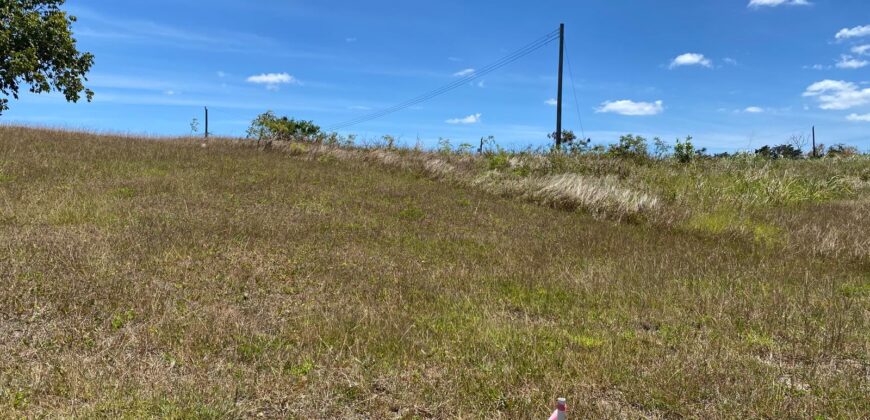 Lot 24 Ashford, St. Thomas
