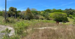 Lot 24 Ashford, St. Thomas
