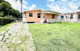Lot 117 Mangrove, St. Philip