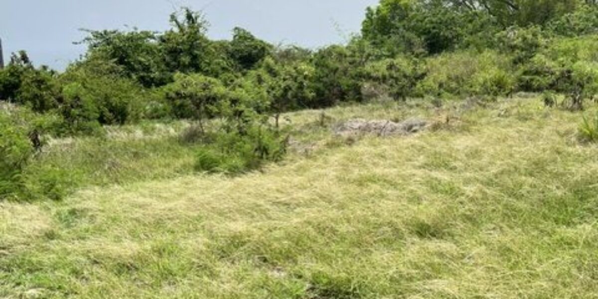 Lot 3 Collins, St. Peter