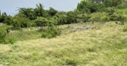 Lot 3 Collins, St. Peter