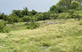 Lot 3 Collins, St. Peter
