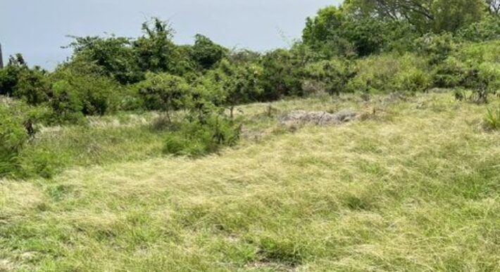 Lot 3 Collins, St. Peter
