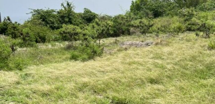 Lot 3 Collins, St. Peter