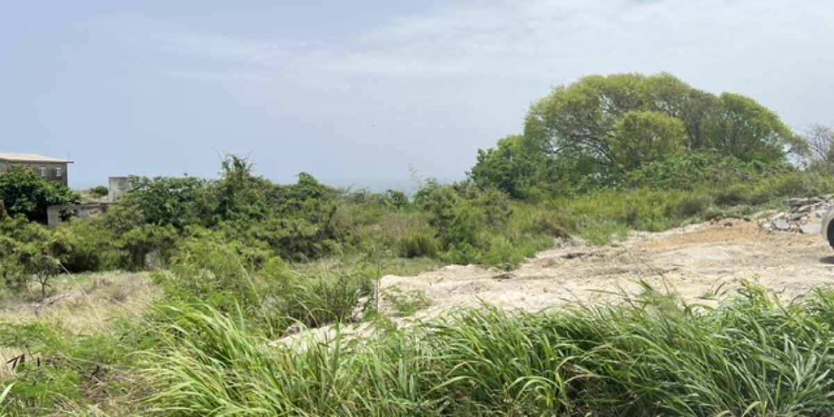 Lot 2 Collins, St. Peter