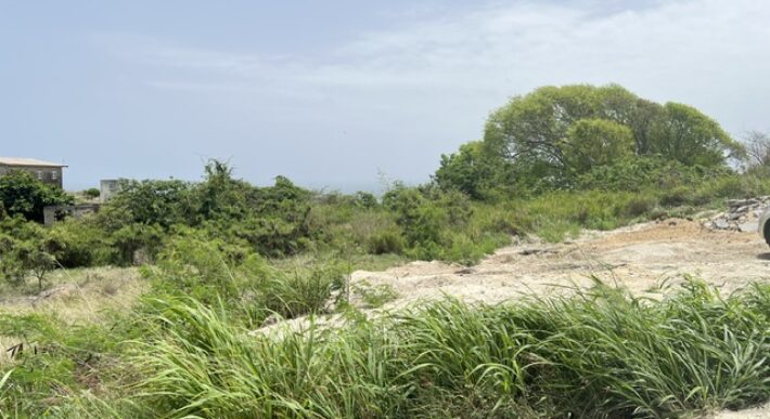 Lot 2 Collins, St. Peter