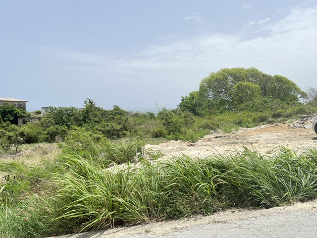 Lot 2 Collins, St. Peter