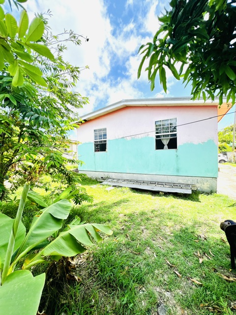 Lot 117 Mangrove Park, Mangrove, St. Philip