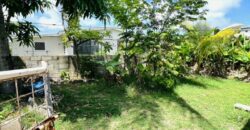 Lot 117 Mangrove, St. Philip