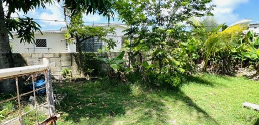 Lot 117 Mangrove, St. Philip