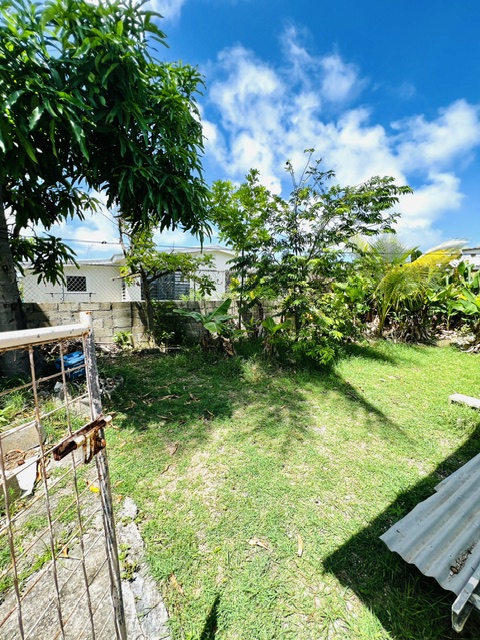 Lot 117 Mangrove Park, Mangrove, St. Philip